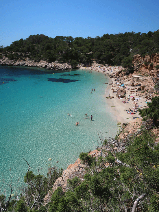 Cala Salada et Cala Saladeta (Ibiza) ⛱