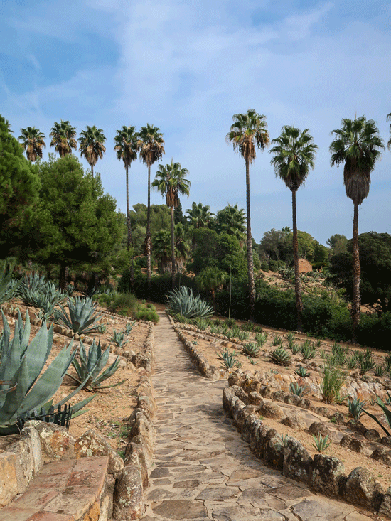 Jardin botanique Pinya de Rosa (Blanes)